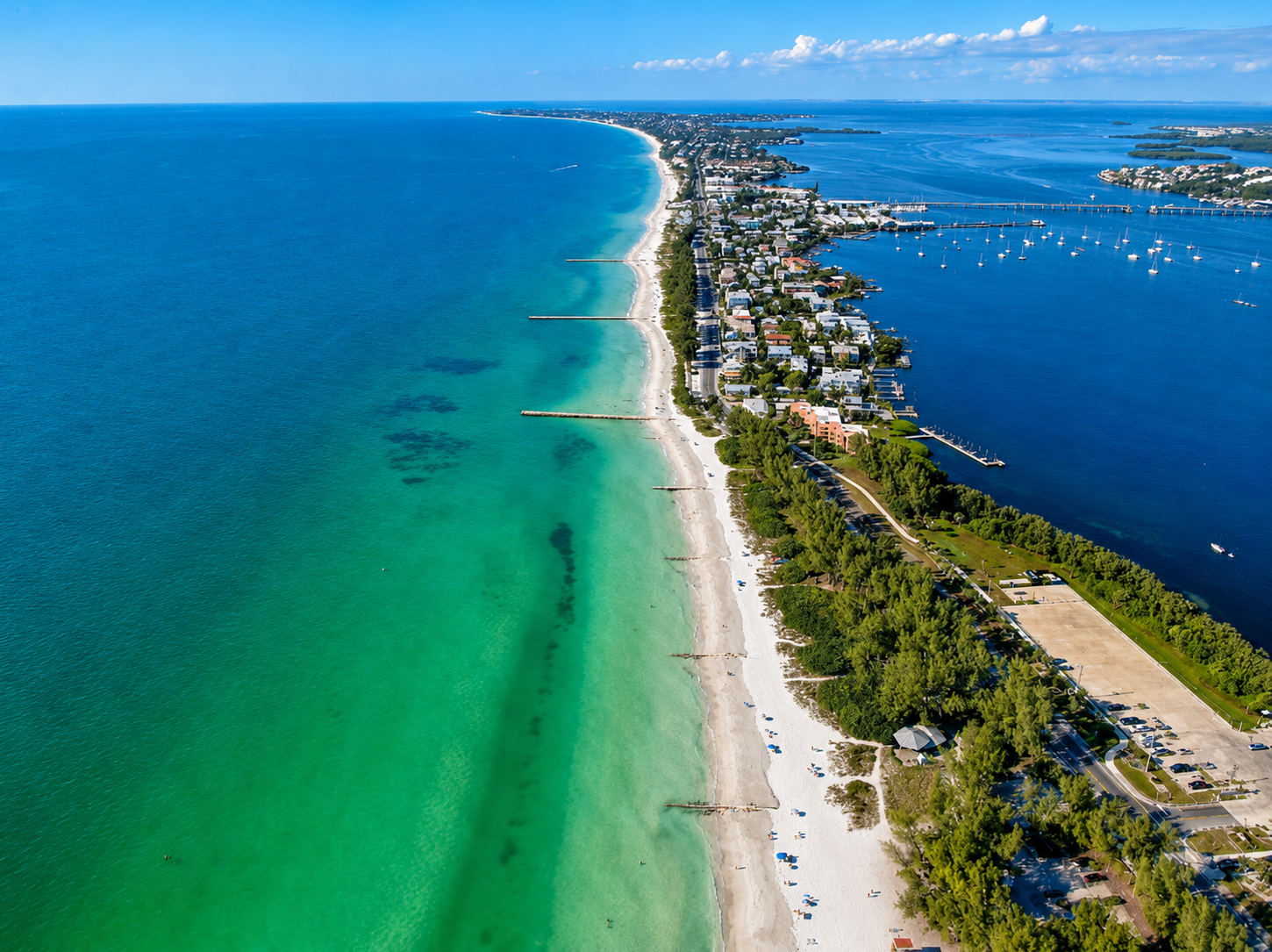 Aerial Panorama of Coastal Outline