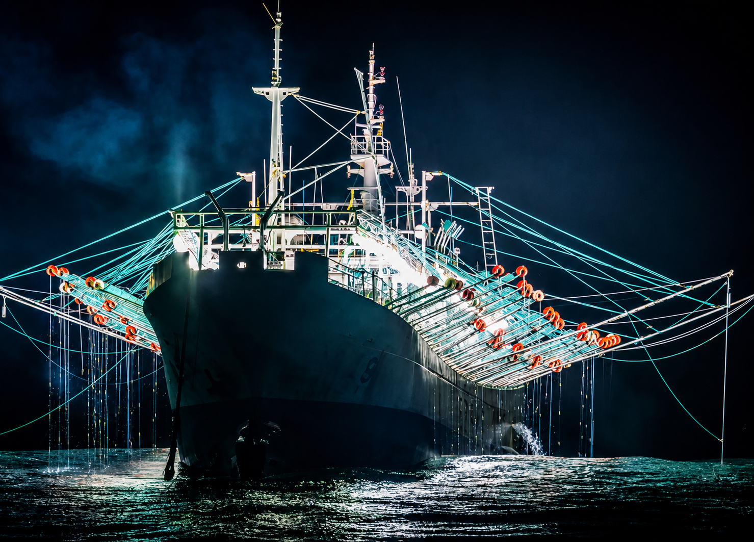 Ship Docking
